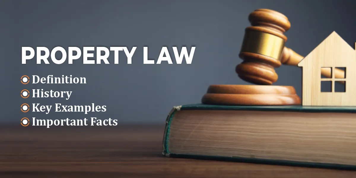 Property Lawyer